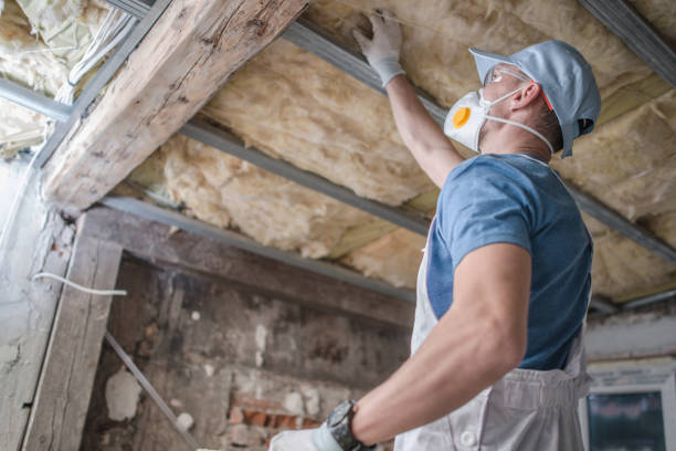 Best Insulation Replacement Services  in Bainbridge, GA
